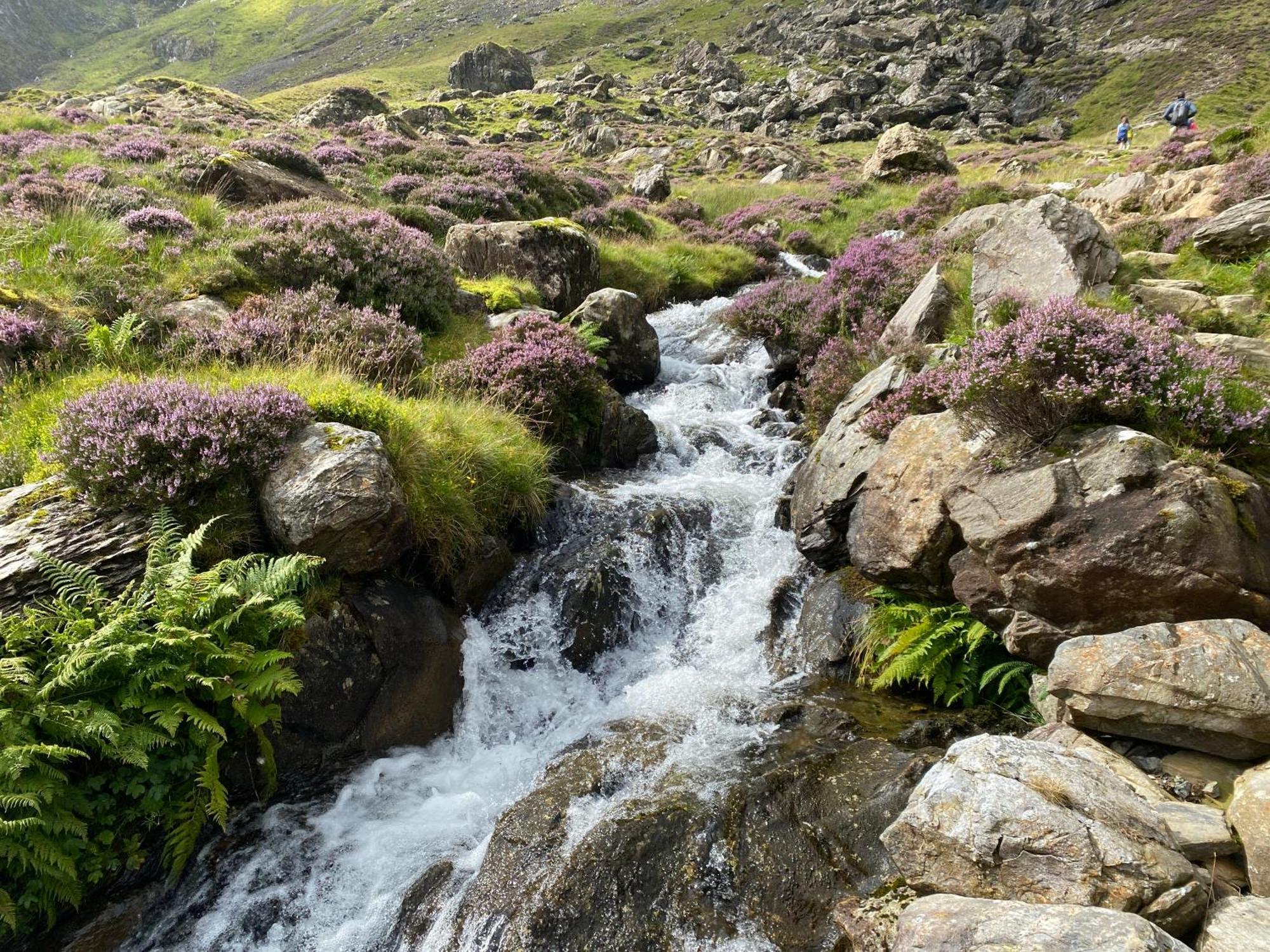 Вілла Pen Y Cwm Penmachno Екстер'єр фото